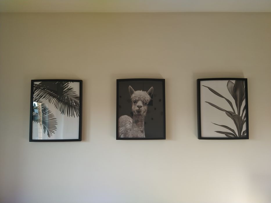 Decoração de Casa