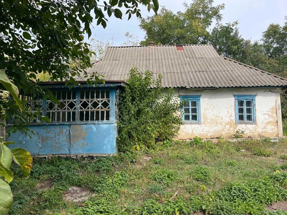 Будинок,Вільшана,земельна ділянка