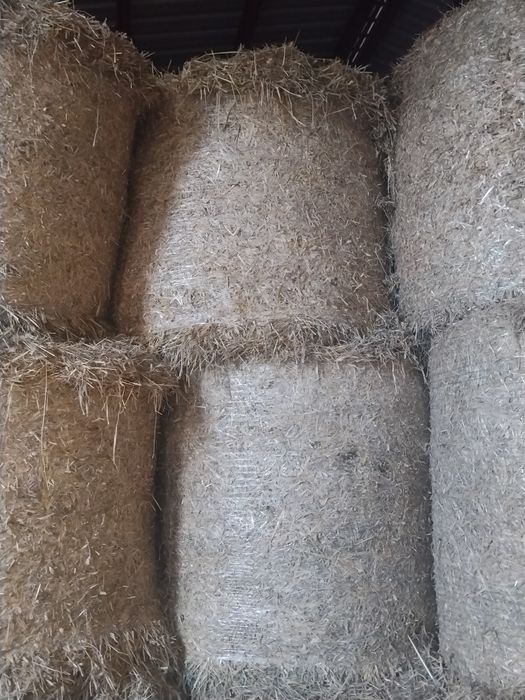 Słoma  bele 120 że stodoły