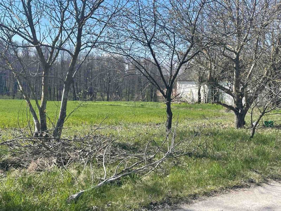Продам земельну ділянку в с-щі Корнинське