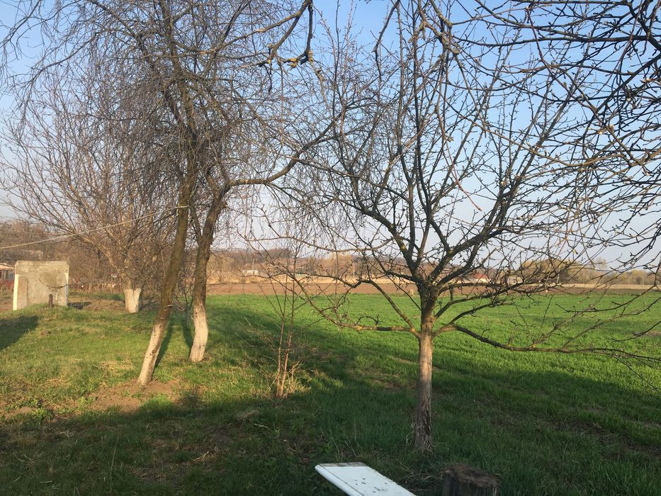 Будинок в черкаській області