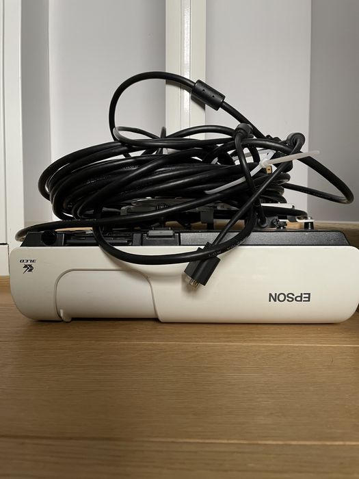 Shotmaker エモ　 emo Shotmaker エモ emo Emo Engrossed in Video Games | Stable