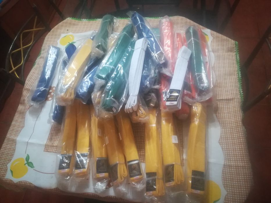 Lote de 31 Cintos de Taekwondo