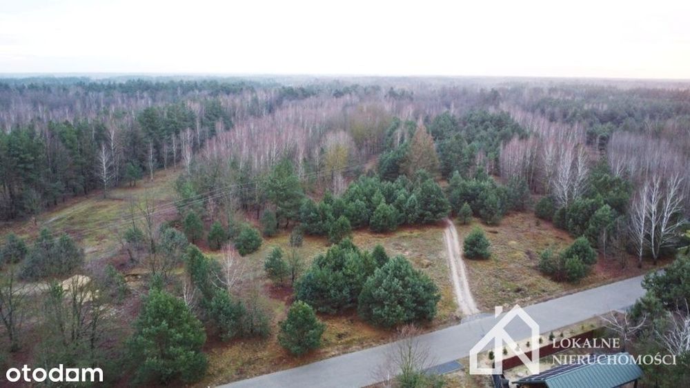 Działka o powierzchni 1,088 ha w miejscowości Ostrówek na sprzedaż!