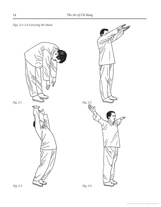 "The Art of Chi Kung: Making the Most of Your Vital Energy" -> RARO ...