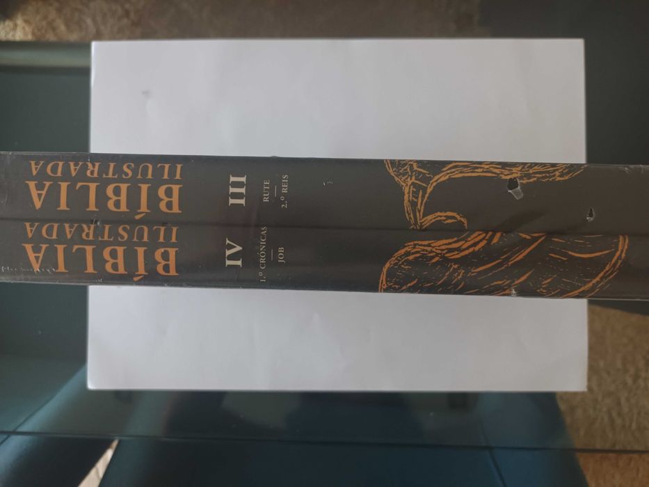 Bíblia Ilustrada Rute - 2º Reis Volumes III e IV