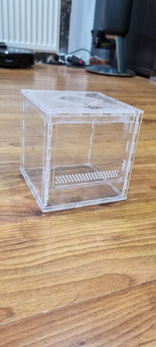 Terarium dla pająka