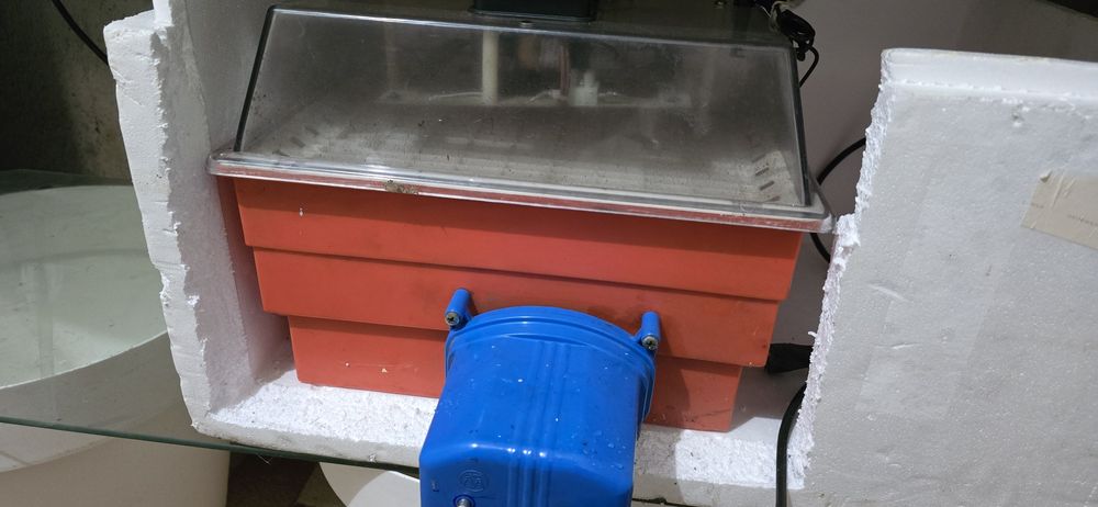 Chocadeira automática