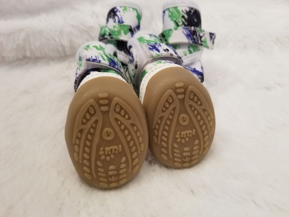 Взуття для собак