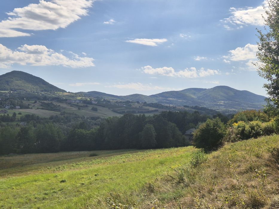 Dwie widokowe działki z WZ w Czasławiu 67,74 ar + 67,60 ar - Widok 5