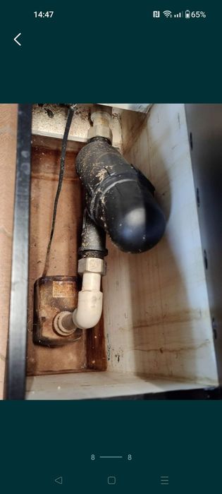 Фітостіна, вертикальне озеленення