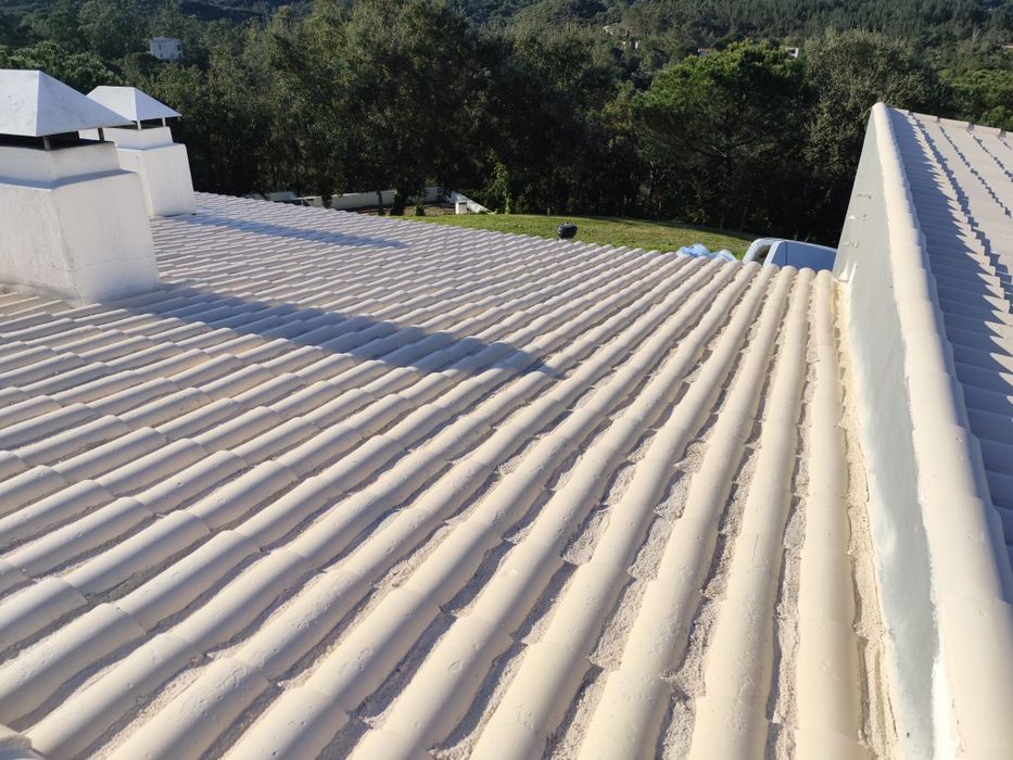 Pinturas  telhados e remodelação e geral com qualidade e confiança