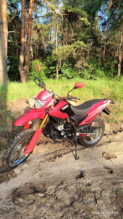 Bashan TTR 250 / Viper V250L
