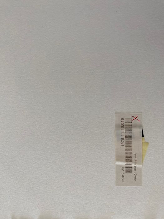 Serigrafia Graça Morais