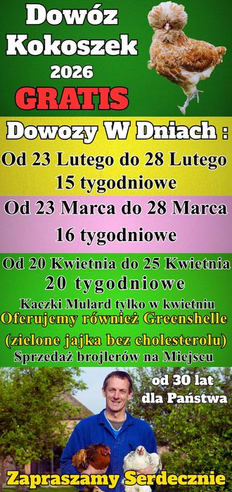 Ferma Drobiu W Ładnej 97A - Dowóz Kokoszek i Kaczek Dowózka GRATIS