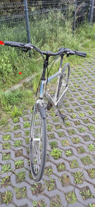 Rower górski Kands STV 700  r.19