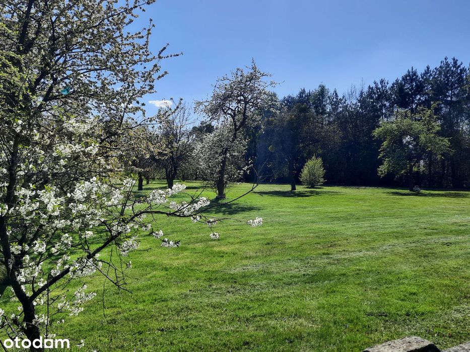 Działka 6600 m2 | Dom 170 m2| Media | 2 dojazdy | Możliwy podział