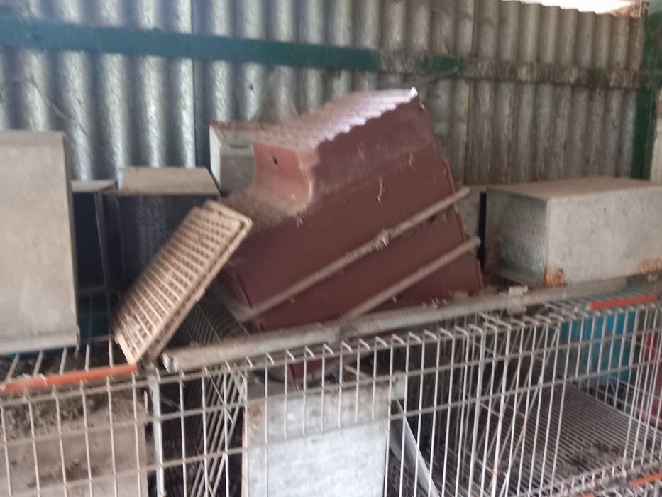 Jaula para coelhos