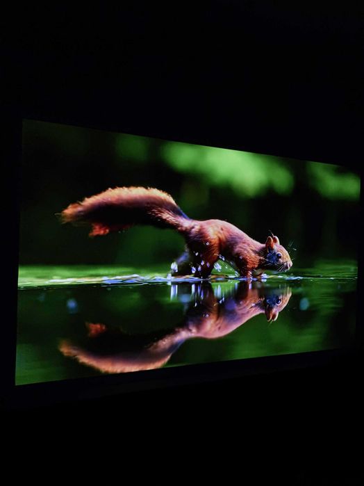 Проектор XGIMI Halo | Гарантія | Повний комплект