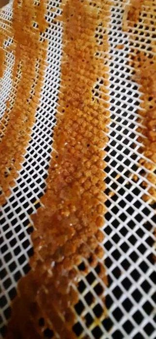 Сітка для збирання прополісу