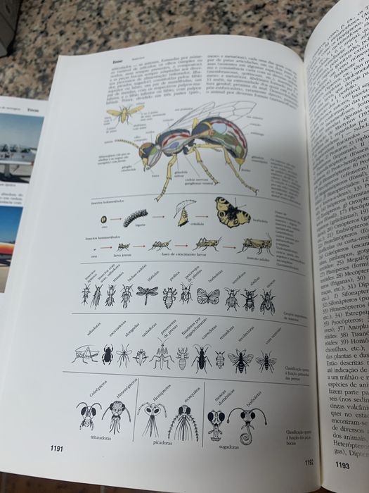 Enciclopédia Verbo Seculo XXI completa - 29 volumes