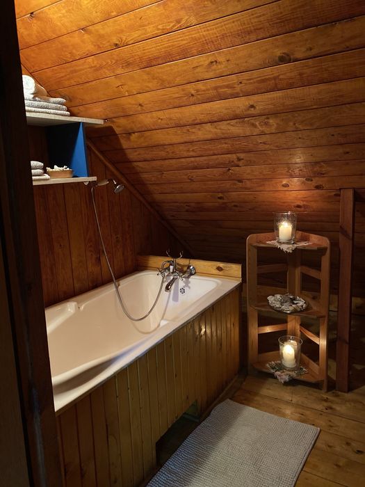 Leśny Czar-Dom na wynajem