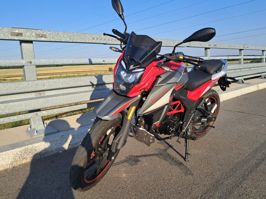 Junak Adv 50 2024