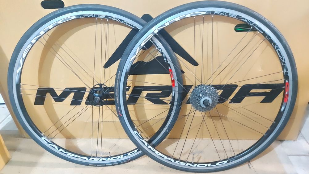 Rodas Campagnolo Reaction G3