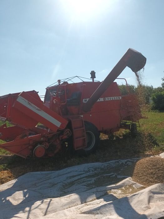 Massey ferguson 240