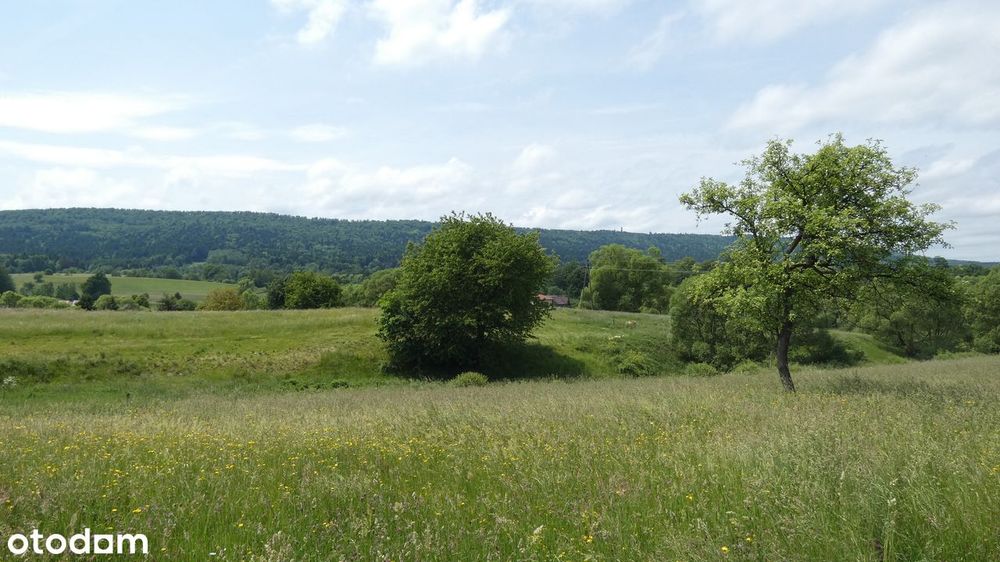 Działki budowlane o łącznej powierzchni 22443 m² w malowniczej okolicy - Widok 2