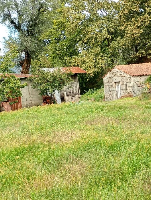 Terreno com 3000m2