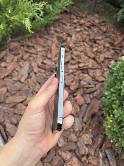 iPhone 13 Pro Max 256 GB R sim
