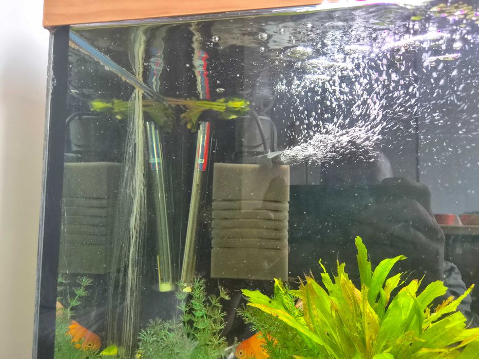 Akwarium kompletne 180 l bez obsady