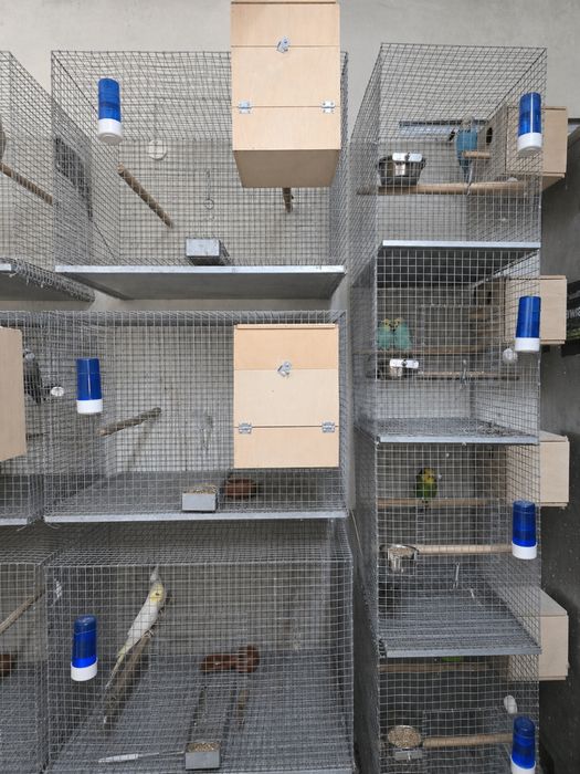 Gaiolas / viveiros para aves