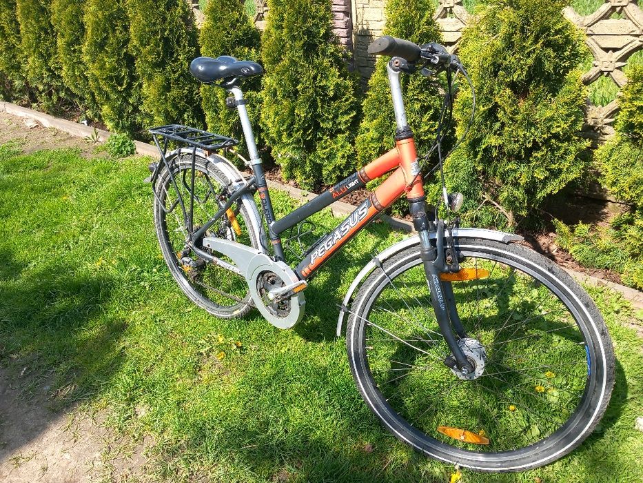 Rower Pegasus 26"