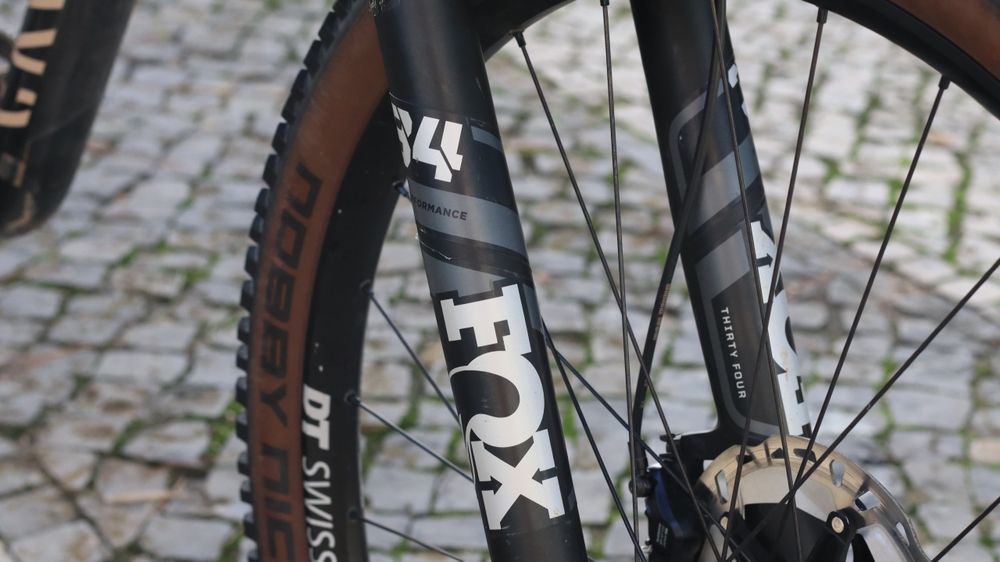 Canyon neuron 7 2023