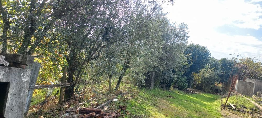 Quinta com casa habitação em Sabugosa-Tondela Tondela