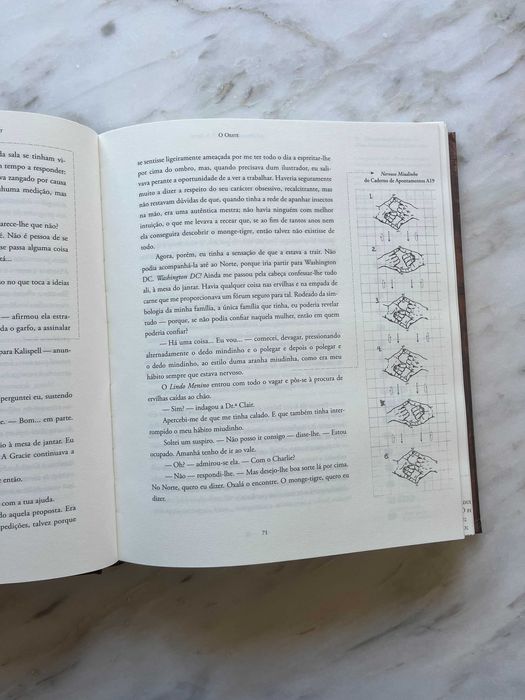 As obras-primas de T. S. Spivet — Reif Larsen
