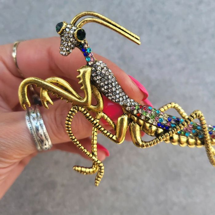 Duża broszka konik polny