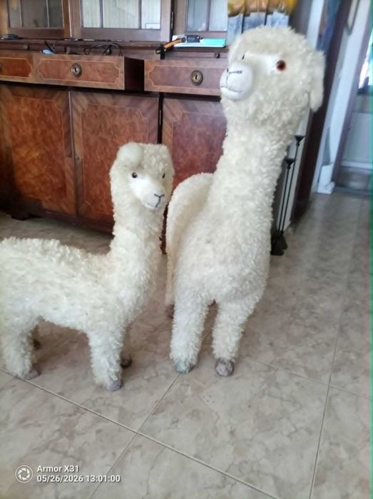 peloche  duas lamas