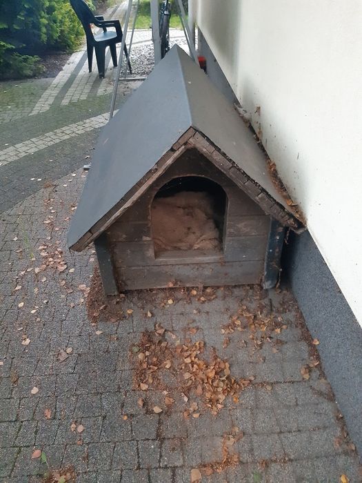 Duża drweniana buda dla psa