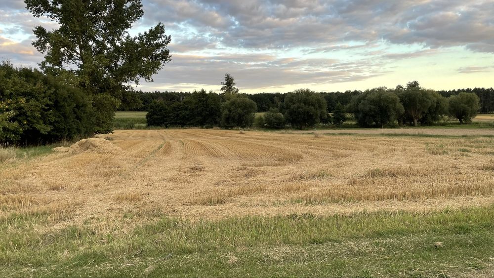 Sprzedam działki budowlane