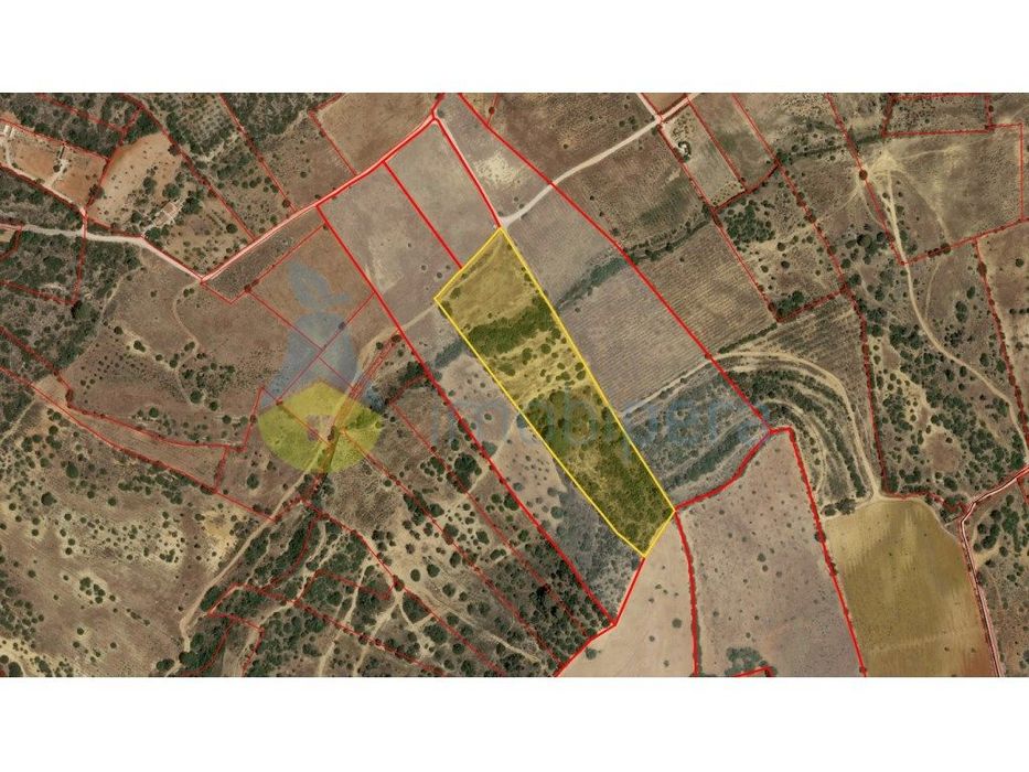 Terreno com 19.050m2 - Vila Pêra - Sítio Vales Pera — Alcantarilha E Pêra, Faro