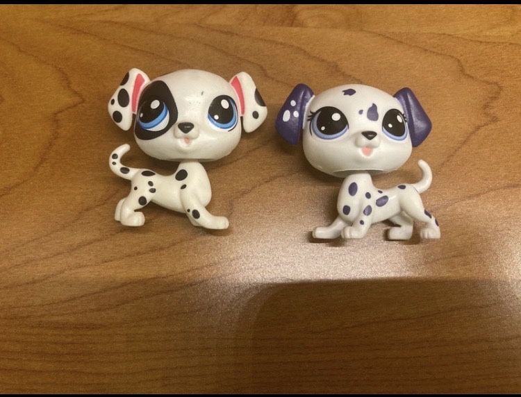 Lps dwa dalmatańczyki