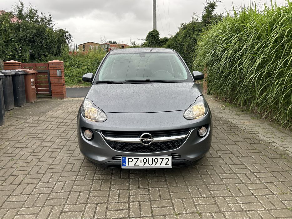 Opel adam led pdc