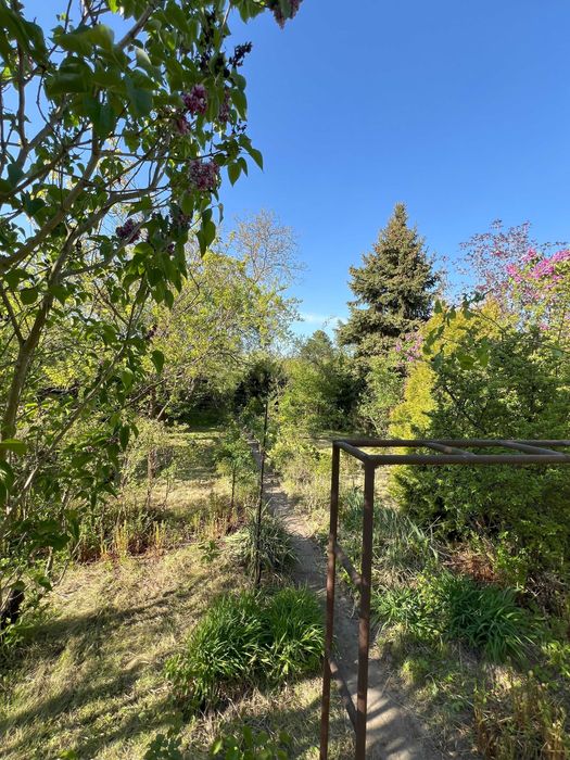 Działka ROD JUTRZENKA - Pola Mokotowskie - Piękna lokalizacja