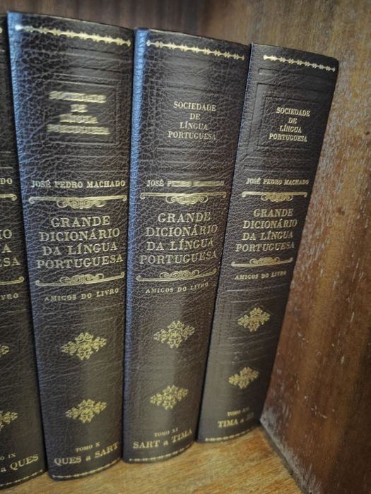 Grande Dicionário da Língua Portuguesa