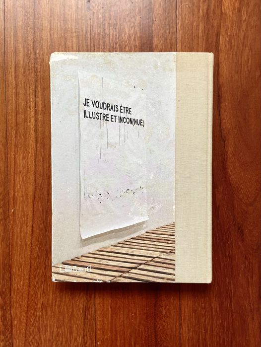 Delfim Sardo - Julião Sarmento: Risco Inerente/Inherent Risk