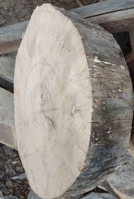 Plaster jesiona na stoliki itp