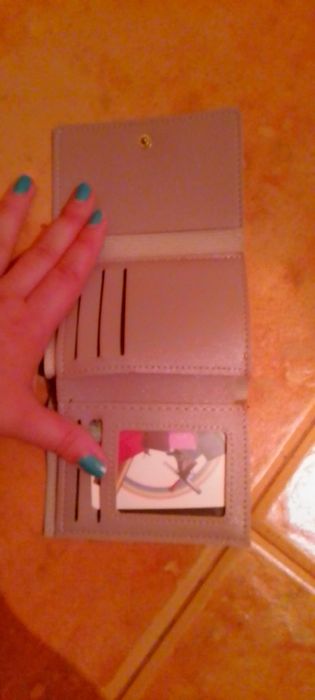 Carteira cinzenta nova